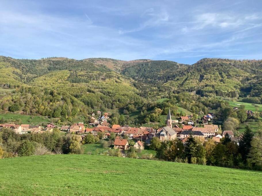 Logement Chaleureux, Vallee De Ville Steige Luaran gambar